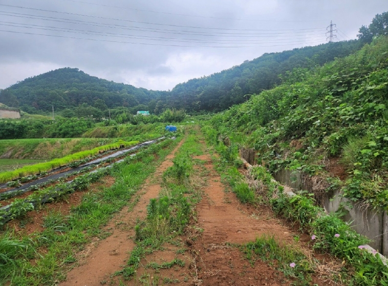 경기도 평택시 오성면 양교리 815 외 2필지 전 경매 사진 6