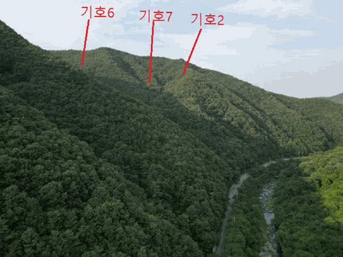 충청북도 제천시 한수면 덕곡리 산39-1 외 4필지 임야 경매 사진 7