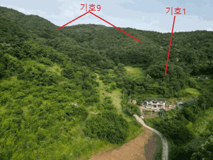 충청북도 제천시 한수면 덕곡리 산39-1 외 4필지 임야 경매 사진 10