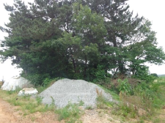 충청남도 서산시 부석면 강당리 96 외 12필지 답 경매 사진 24