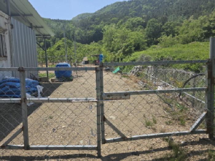 경상북도 영천시 신녕면 부산리 490 외 3필지 전 경매 사진 2