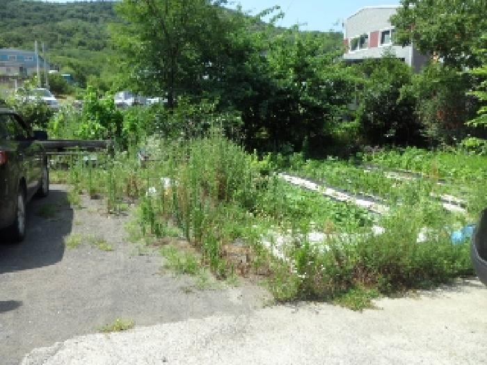 대구광역시 달성군 논공읍 삼리리 636-7 외 9필지 공장 경매 사진 11