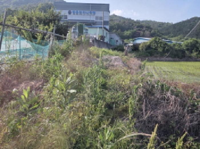 경상북도 성주군 선남면 문방리 875-1 창고 경매 사진 23