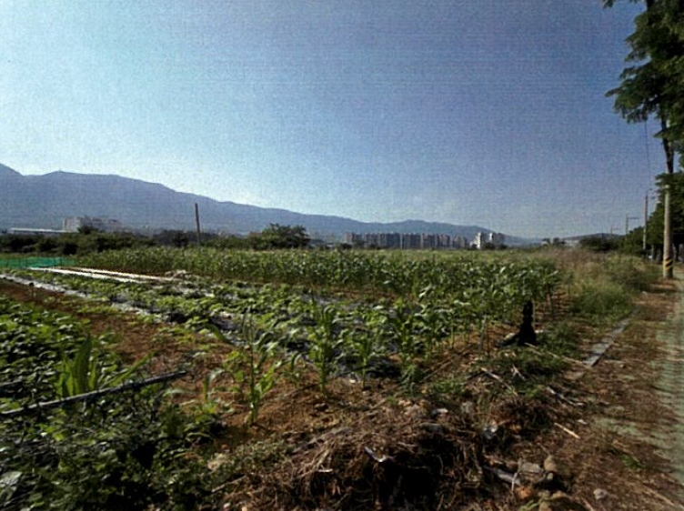 경상남도 양산시 명동 751-1 외 1필지 답 경매 사진 2