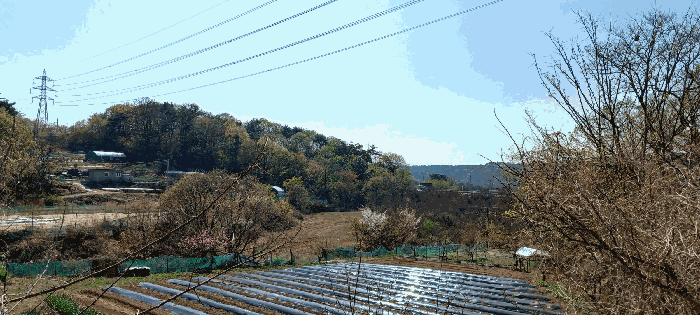 울산광역시 중구 성안동 산194-9 임야 경매 사진 18