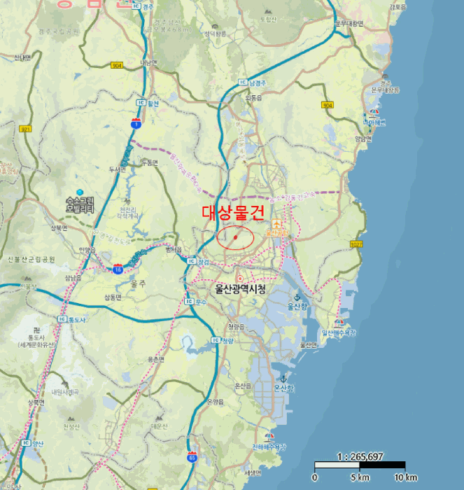 울산광역시 중구 성안동 산194-9 임야 경매 사진 20