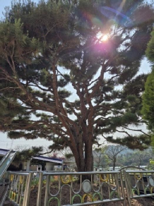 울산광역시 울주군 온양읍 운화리 889 외 5필지 동물및식물관련시설 경매 사진 19