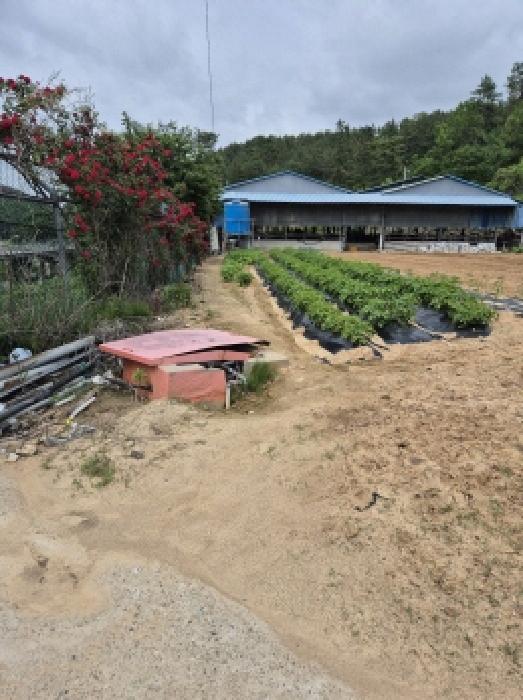 울산광역시 울주군 온양읍 운화리 889 외 5필지 동물및식물관련시설 경매 사진 20