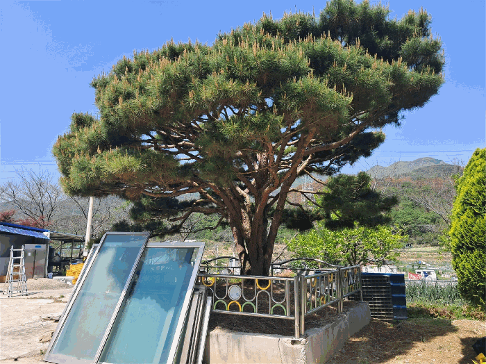 울산광역시 울주군 온양읍 운화리 889 외 5필지 동물및식물관련시설 경매 사진 34