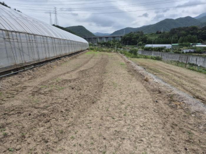 울산광역시 울주군 온양읍 운화리 889 외 5필지 동물및식물관련시설 경매 사진 5