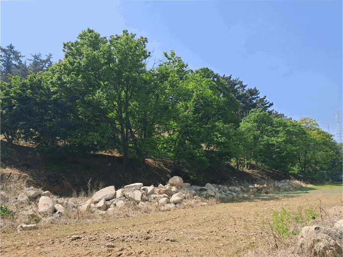 울산광역시 울주군 온양읍 운화리 889 외 5필지 동물및식물관련시설 경매 사진 45