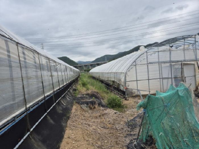 울산광역시 울주군 온양읍 운화리 889 외 5필지 동물및식물관련시설 경매 사진 7