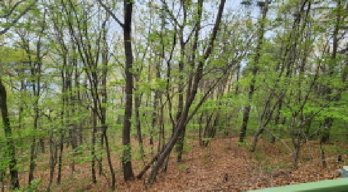 울산광역시 울주군 웅촌면 곡천리 산22-7 임야 경매 사진 1