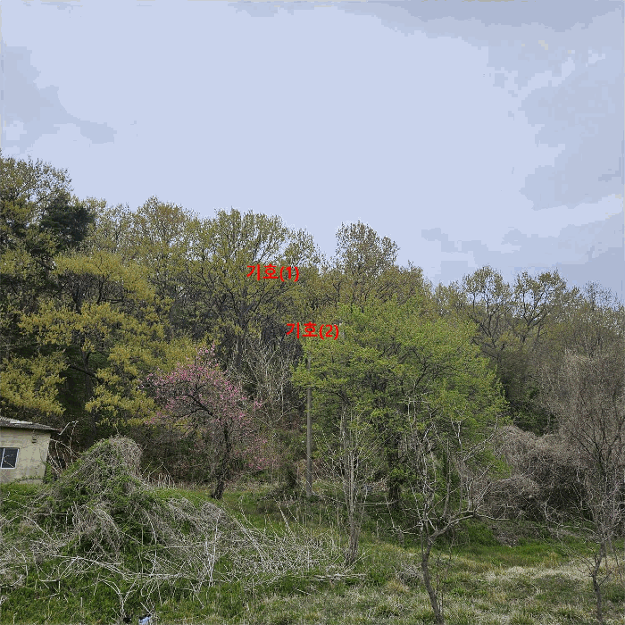 울산광역시 울주군 웅촌면 곡천리 산22-7 임야 경매 사진 3