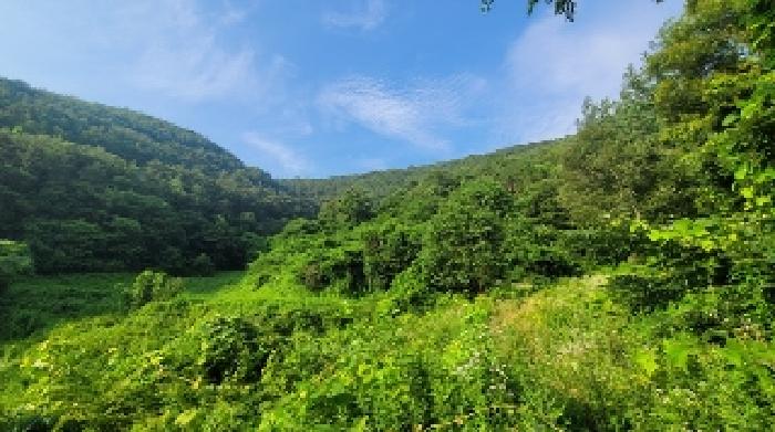 경상남도 의령군 지정면 유곡리 856 전 경매 사진 8