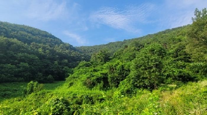 경상남도 의령군 지정면 유곡리 856 전 경매 사진 9
