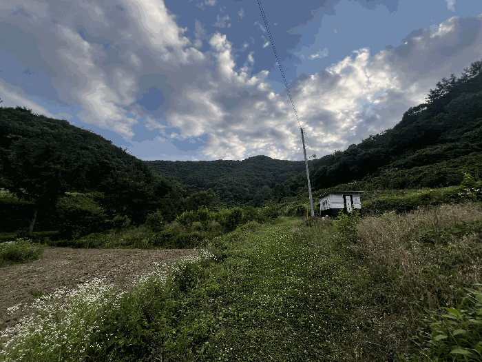 경상남도 의령군 지정면 유곡리 856 전 경매 사진 10