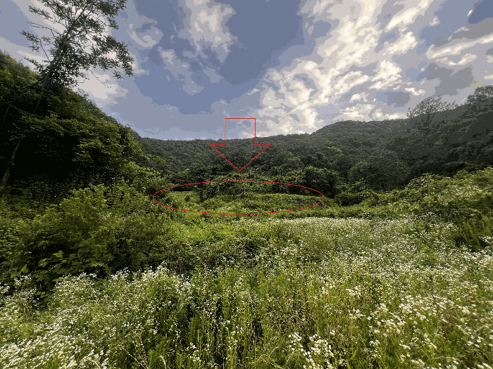 경상남도 의령군 지정면 유곡리 856 전 경매 사진 11