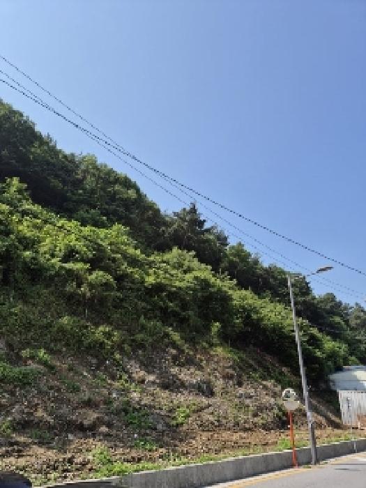 광주광역시 동구 소태동 산259 임야 경매 사진 27