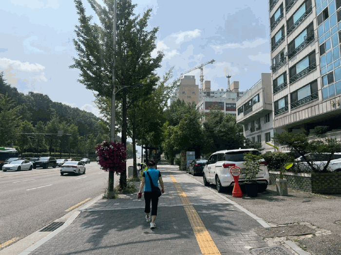 서울특별시 송파구 가락동 160-1 주성드림팰리스 10층1002호 외 1필지 아파트 경매 사진 8