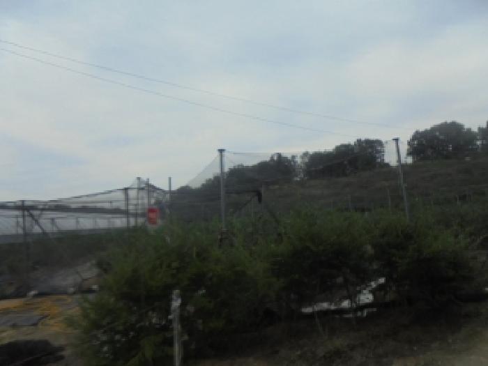 충청북도 충주시 주덕읍 대곡리 662 외 3필지 답 경매 사진 2