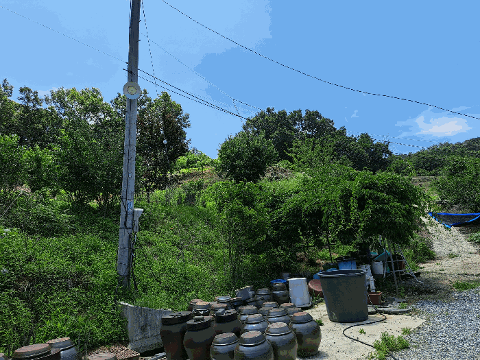 충청북도 충주시 주덕읍 대곡리 662 외 3필지 답 경매 사진 14