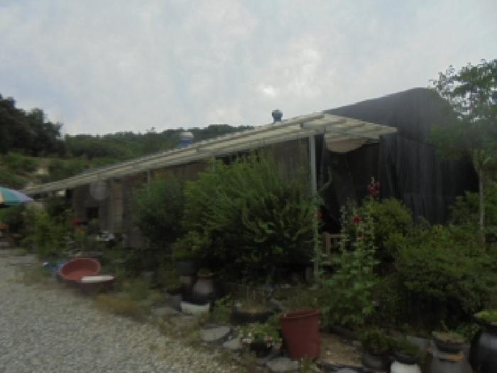 충청북도 충주시 주덕읍 대곡리 662 외 3필지 답 경매 사진 8