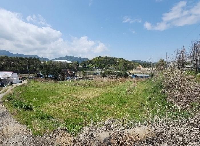 충청북도 옥천군 옥천읍 서대리 59 과수원 경매 사진 10