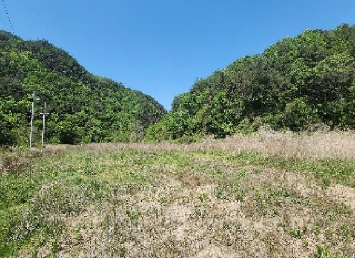 충청북도 영동군 학산면 지내리 1464-1 외 1필지 답 경매 사진 3