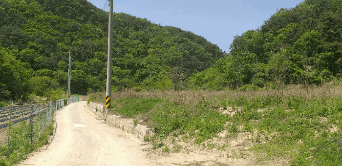 충청북도 영동군 학산면 지내리 1464-1 외 1필지 답 경매 사진 5