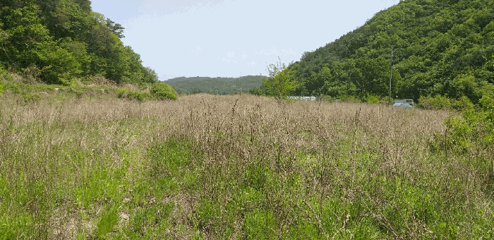 충청북도 영동군 학산면 지내리 1464-1 외 1필지 답 경매 사진 7