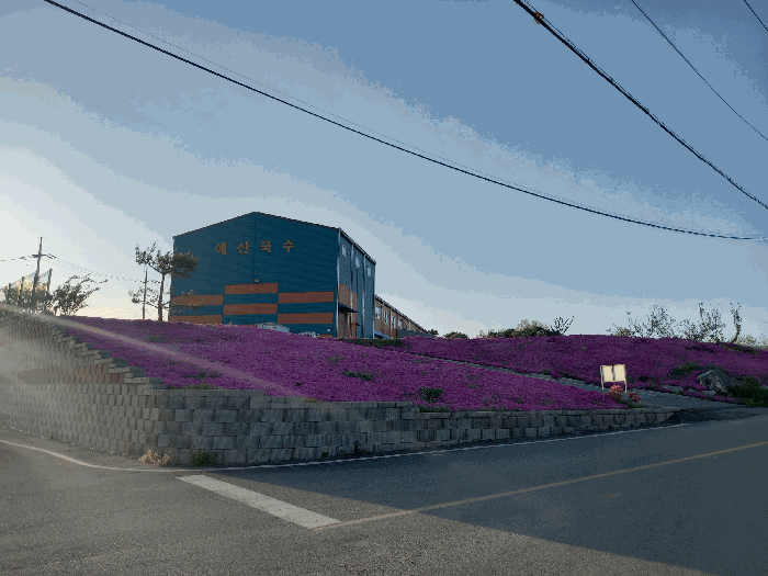 충청남도 예산군 봉산면 효교리 163-20 외 4필지 공장 경매 사진 44