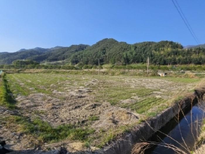 경상북도 봉화군 춘양면 도심리 321 답 경매 사진 1