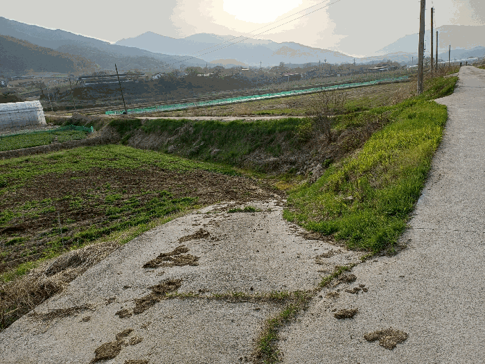 경상북도 봉화군 춘양면 도심리 321 답 경매 사진 2