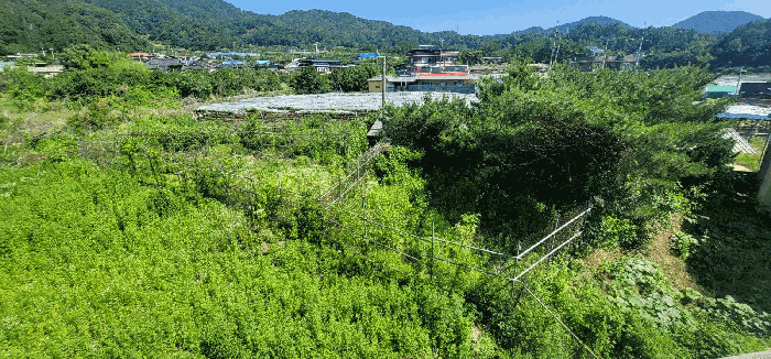 경상북도 김천시 구성면 양각리 564 외 2필지 동물및식물관련시설 경매 사진 6