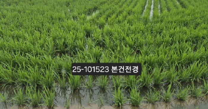 부산광역시 강서구 죽동동 531-28 답 경매 사진 11