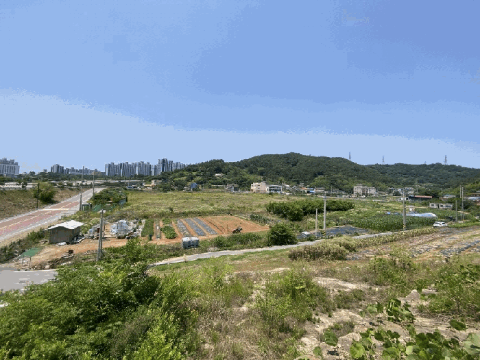 전라남도 무안군 삼향읍 남악리 106 외 7필지 답 경매 사진 3