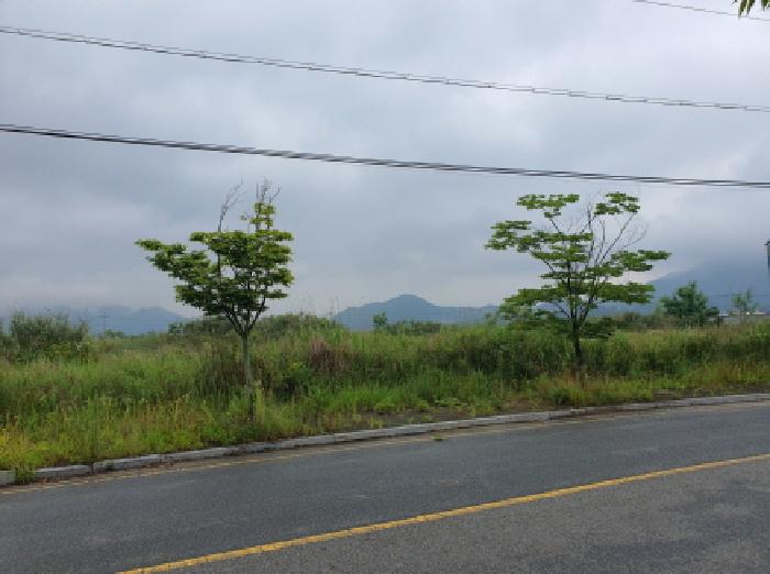 전라남도 강진군 성전면 명산리 1487-4 외 1필지 공장용지 경매 사진 5