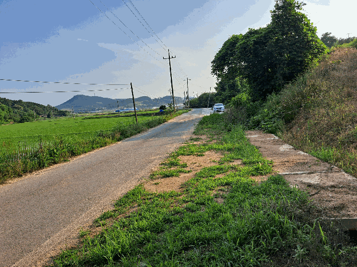 전북특별자치도 고창군 상하면 하장리 1643 답 경매 사진 10