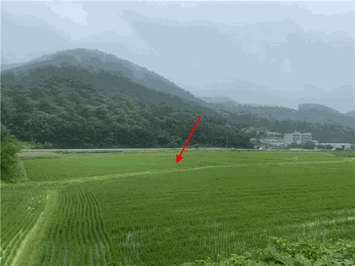 경기도 파주시 법원읍 웅담리 109-16 답 경매 사진 20