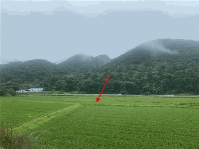 경기도 파주시 법원읍 웅담리 109-16 답 경매 사진 21