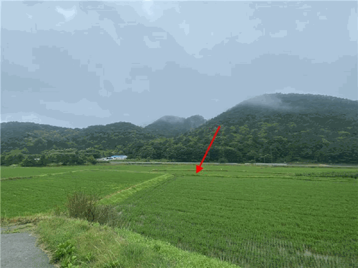 경기도 파주시 법원읍 웅담리 109-16 답 경매 사진 23