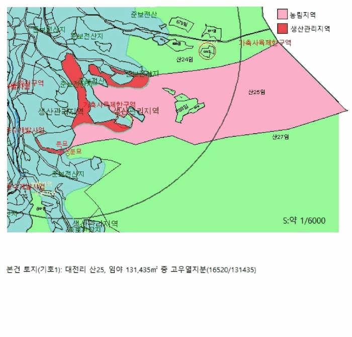 충청북도 제천시 수산면 대전리 산25 임야 경매 사진 26