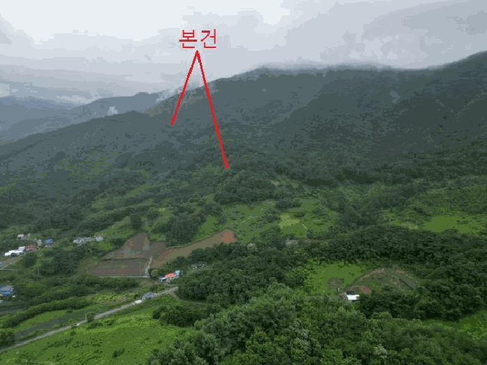 충청북도 제천시 수산면 대전리 산25 임야 경매 사진 17