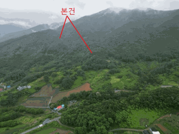 충청북도 제천시 수산면 대전리 산25 임야 경매 사진 19