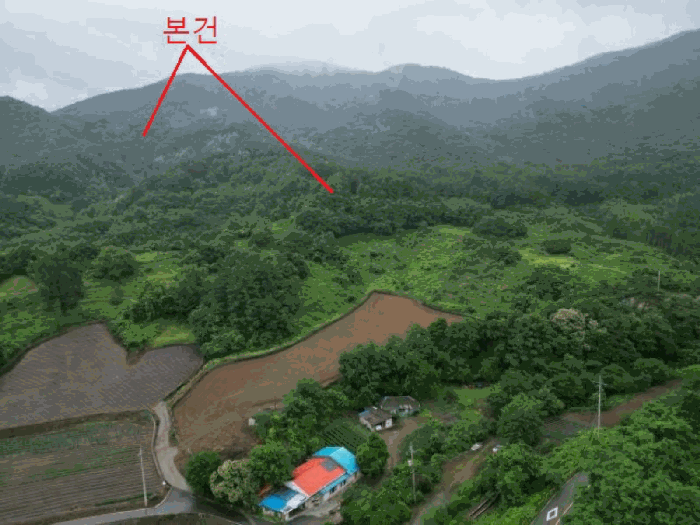 충청북도 제천시 수산면 대전리 산25 임야 경매 사진 20