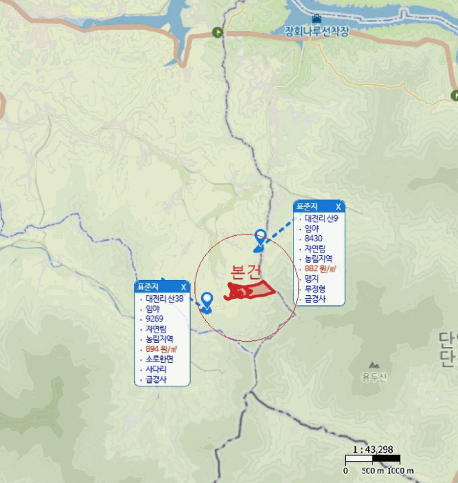 충청북도 제천시 수산면 대전리 산25 임야 경매 사진 23