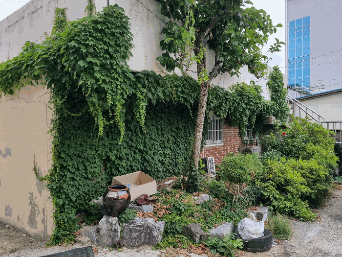 충청남도 금산군 금산읍 중도리 481-1 외 2필지 숙박시설 경매 사진 75