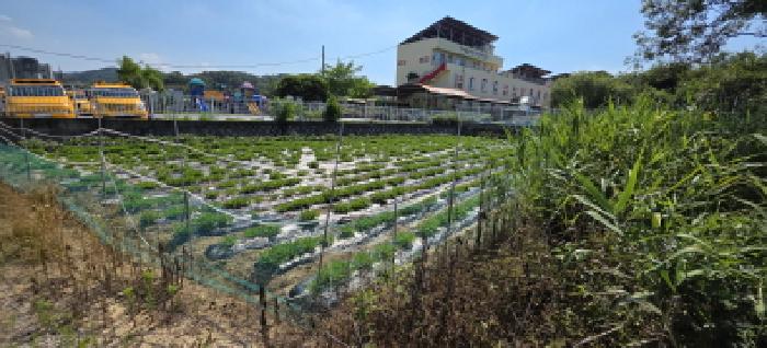 경상북도 구미시 고아읍 관심리 598-7 답 경매 사진 14