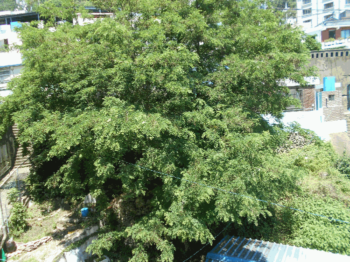 부산광역시 동구 초량동 851-2 대지 경매 사진 27